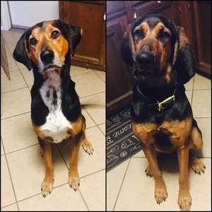 Meet your Posher, Sawyerandstella